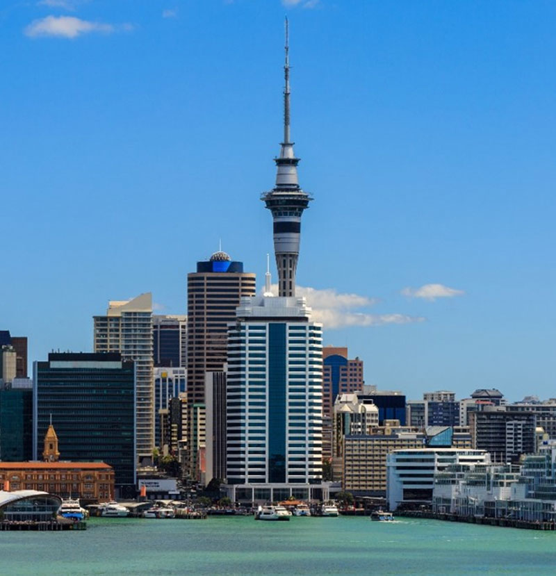 Forensic Accountants Auckland, New Zealand