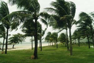 Hurricane Beryl